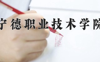 2025年宁德职业技术学院在新疆计划招生人数（附学费及专业录取分)