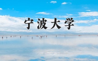 2025年宁波大学在新疆计划招生人数（附学费及专业录取分)