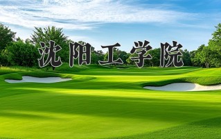2025年沈阳工学院在河南计划招生人数（附学费及专业录取分)