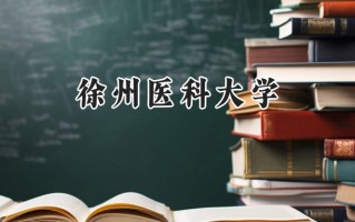 徐州医科大学2024在江苏录取分数线是多少？最低519分/最高630分
