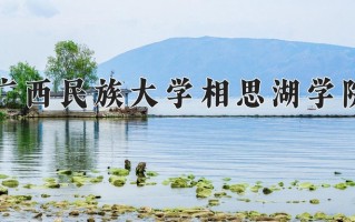2025年广西民族大学相思湖学院在河南计划招生人数（附学费及专业录取分)