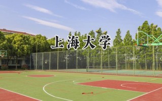 上海大学2024在上海录取分数线是多少？最低537分/最高566分