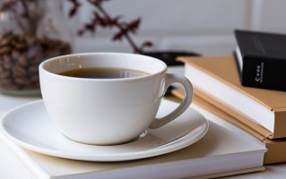 2024年湖北师范大学文理学院在广东计划招生人数（附学费及专业录取分）