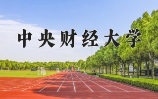 2025年中央财经大学在新疆计划招生人数（附学费及专业录取分)