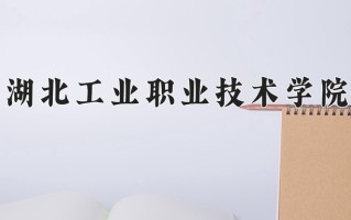 2025年湖北工业职业技术学院在河北计划招生人数（附学费及专业录取分)