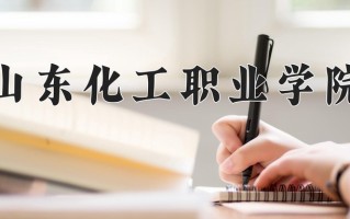 2025年山东化工职业学院在四川计划招生人数（附学费及专业录取分)