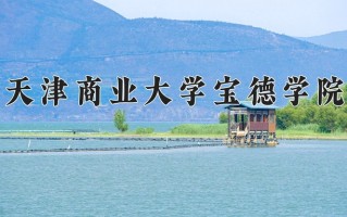 2025年天津商业大学宝德学院在四川计划招生人数（附学费及专业录取分)