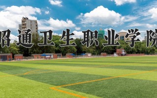 2024昭通卫生职业学院录取分数线，重庆录取最低分283