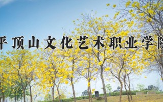 2025年平顶山文化艺术职业学院在河南计划招生人数（附学费及专业录取分)