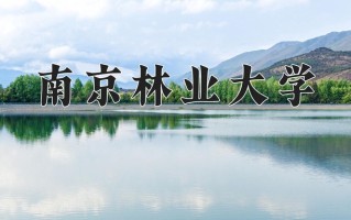林产化工专业2025年广东招生院校有哪些？含学费及招生人数