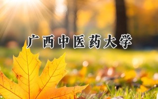广西中医药大学2024在山东录取分数线是多少？最低519分/最高577分