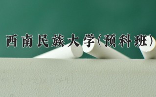 2025年西南民族大学(预科班)在重庆计划招生人数（附学费及专业录取分)