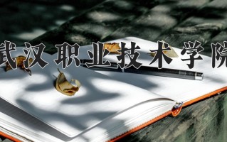 2025年武汉职业技术学院在河南计划招生人数（附学费及专业录取分)