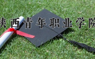 2025年陕西青年职业学院在新疆计划招生人数（附学费及专业录取分)