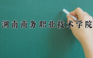 2025年湖南商务职业技术学院在四川计划招生人数（附学费及专业录取分)