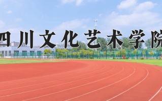 2024年四川文化艺术学院录取分数线，新疆最低281分