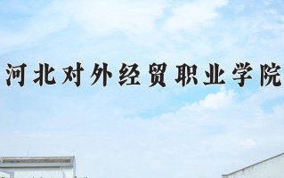 2025年河北对外经贸职业学院在新疆计划招生人数（附学费及专业录取分)