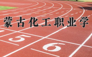 2025年内蒙古化工职业学院在新疆计划招生人数（附学费及专业录取分)