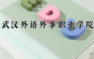 2025年武汉外语外事职业学院在新疆计划招生人数（附学费及专业录取分)