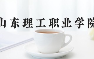 2025年山东理工职业学院在河北计划招生人数（附学费及专业录取分)