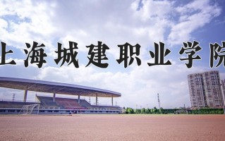2025年上海城建职业学院在新疆计划招生人数（附学费及专业录取分)