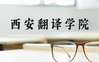 2025年西安翻译学院在新疆计划招生人数（附学费及专业录取分)