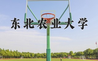 2025年东北农业大学在河南计划招生人数（附学费及专业录取分)