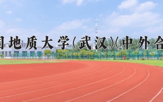 2025年中国地质大学(武汉)(中外合作)在重庆计划招生人数（附学费及专业录取分)