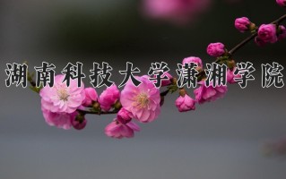 2025年湖南科技大学潇湘学院在新疆计划招生人数（附学费及专业录取分)