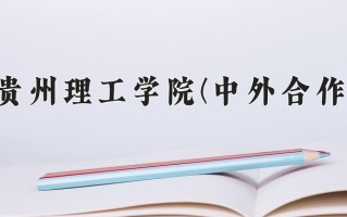 2025年贵州理工学院(中外合作)在重庆计划招生人数（附学费及专业录取分)