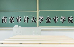 2025年南京审计大学金审学院在四川计划招生人数（附学费及专业录取分)