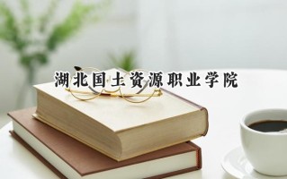 湖北国土资源职业学院2024在山东录取分数线是多少？最低406分/最高431分