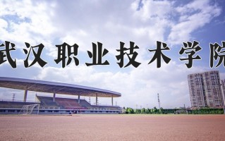 2025年武汉职业技术学院在新疆计划招生人数（附学费及专业录取分)