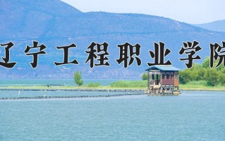 2025年辽宁工程职业学院在四川计划招生人数（附学费及专业录取分)