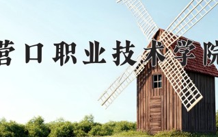 2025年营口职业技术学院在新疆计划招生人数（附学费及专业录取分)