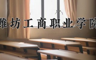 2025年潍坊工商职业学院在河南计划招生人数（附学费及专业录取分)