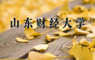2025年山东财经大学在新疆计划招生人数（附学费及专业录取分)