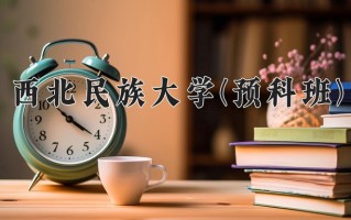 2025年西北民族大学(预科班)在重庆计划招生人数（附学费及专业录取分)