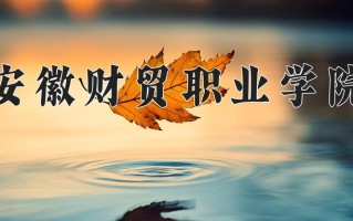 2025年安徽财贸职业学院在四川计划招生人数（附学费及专业录取分)