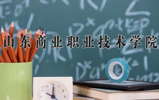 2025年山东商业职业技术学院在河南计划招生人数（附学费及专业录取分)