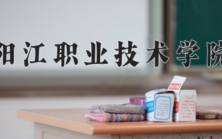 2025年阳江职业技术学院在河南计划招生人数（附学费及专业录取分)