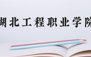 2025年湖北工程职业学院在河南计划招生人数（附学费及专业录取分)