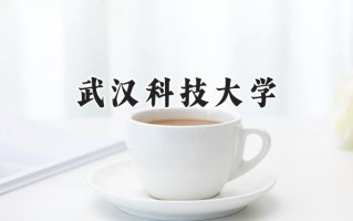 2024武汉科技大学录取分数线：山西最低514分