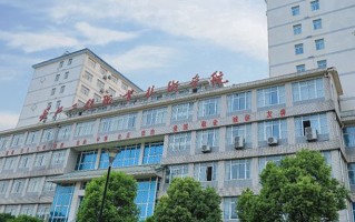2024年长江工程职业技术学院录取分数线，河北最低370分