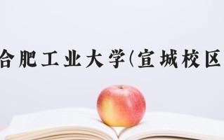 2025年合肥工业大学(宣城校区)在四川计划招生人数（附学费及专业录取分)