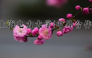 2025年上海电力大学(中外合作)在四川计划招生人数（附学费及专业录取分)