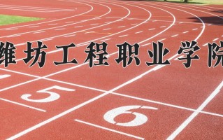 2025年潍坊工程职业学院在四川计划招生人数（附学费及专业录取分)