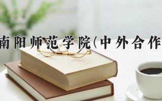 2025年南阳师范学院(中外合作)在四川计划招生人数（附学费及专业录取分)
