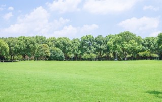 2024年广东理工职业学院在广东计划招生人数（附学费及专业录取分）