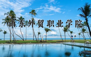 2024年山东外贸职业学院录取分数线，河北最低323分